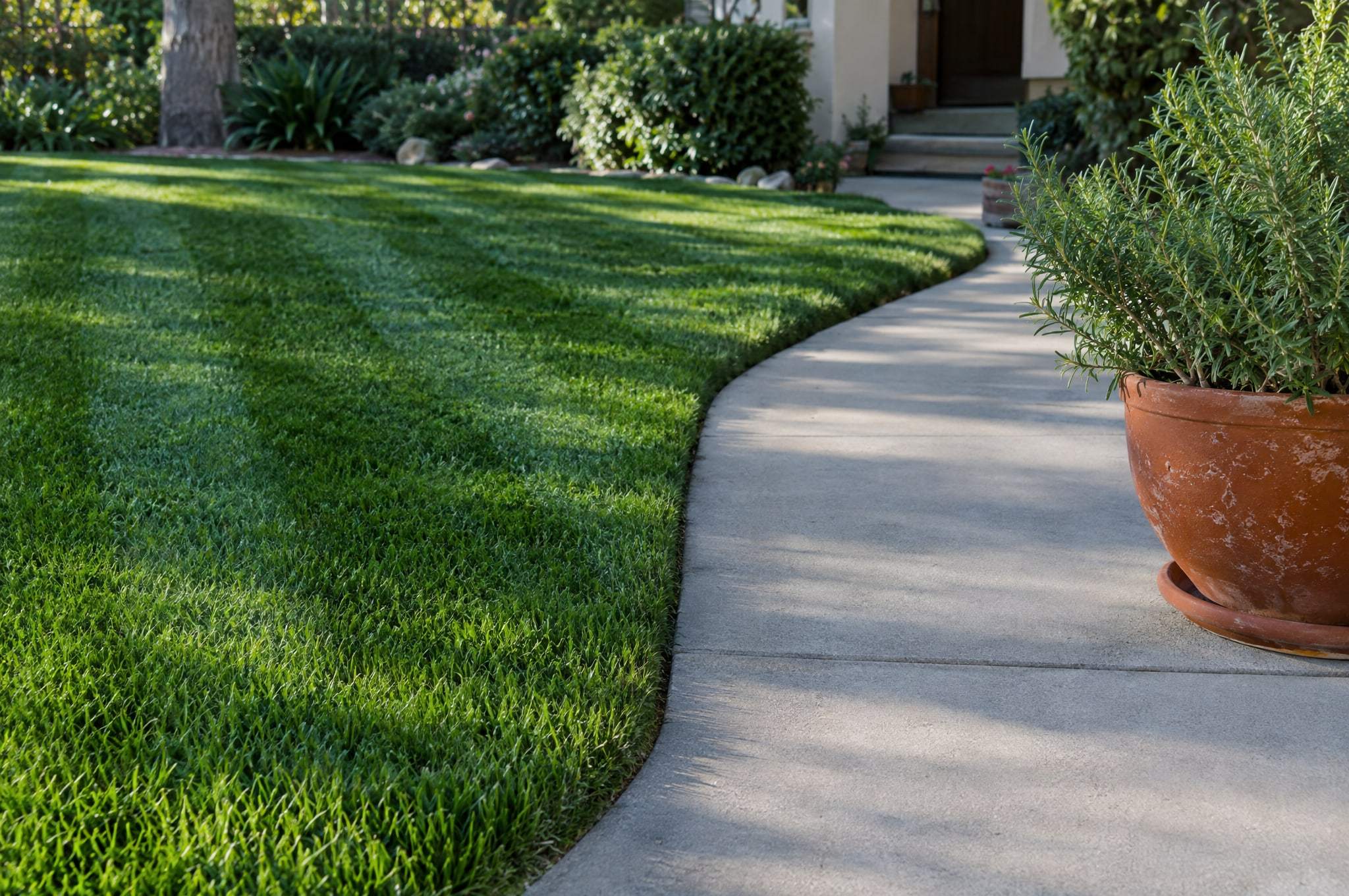 Crisp, freshly edged lawn border along a curved concrete walkway